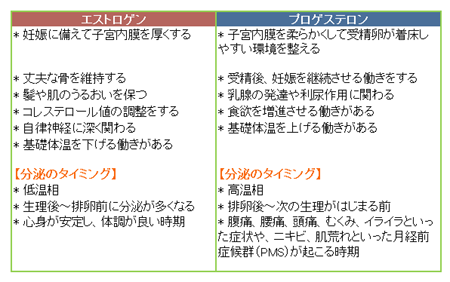 エストロゲン（卵胞ホルモン）、プロゲステロン（黄体ホルモン）の働き★岡田厚生堂薬局