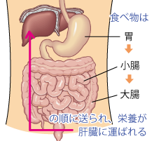 岡田厚生堂薬局