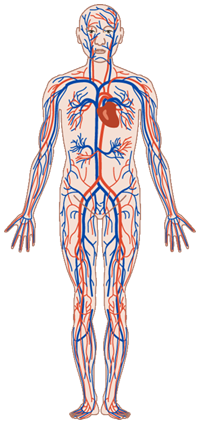 岡田厚生堂薬局