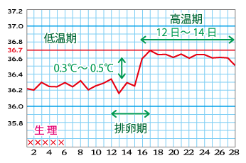 岡田厚生堂薬局