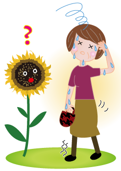 岡田厚生堂薬局