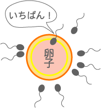 岡田厚生堂薬局